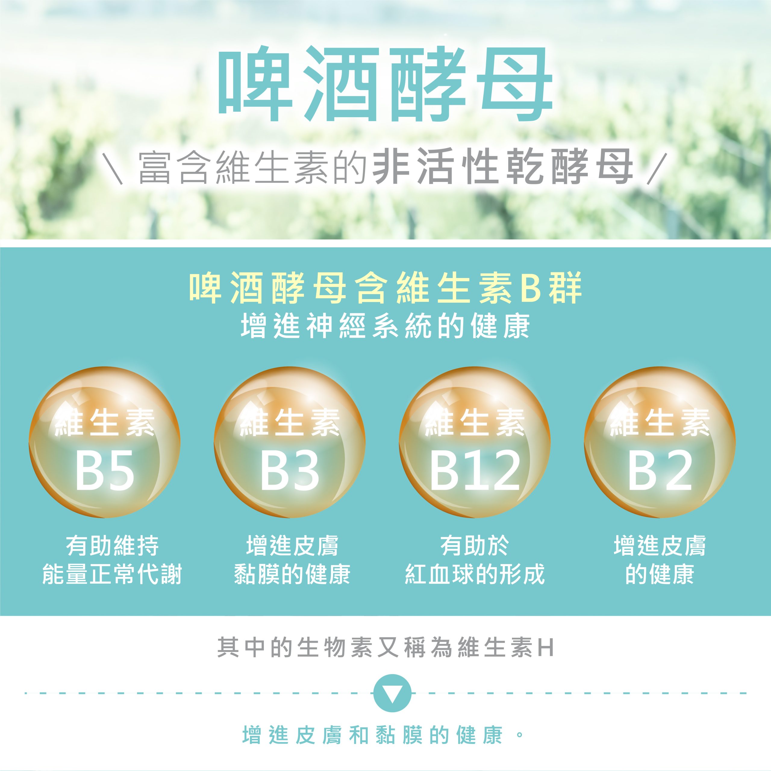 S-GLOW 亮密滑絲錠 商品說明 11