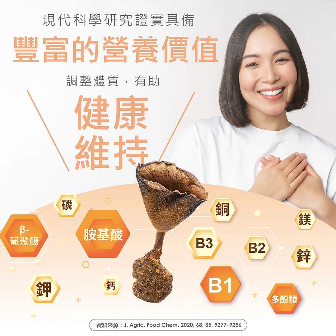 TIGROX 虎奶菇養氣飲 12入 商品說明 10