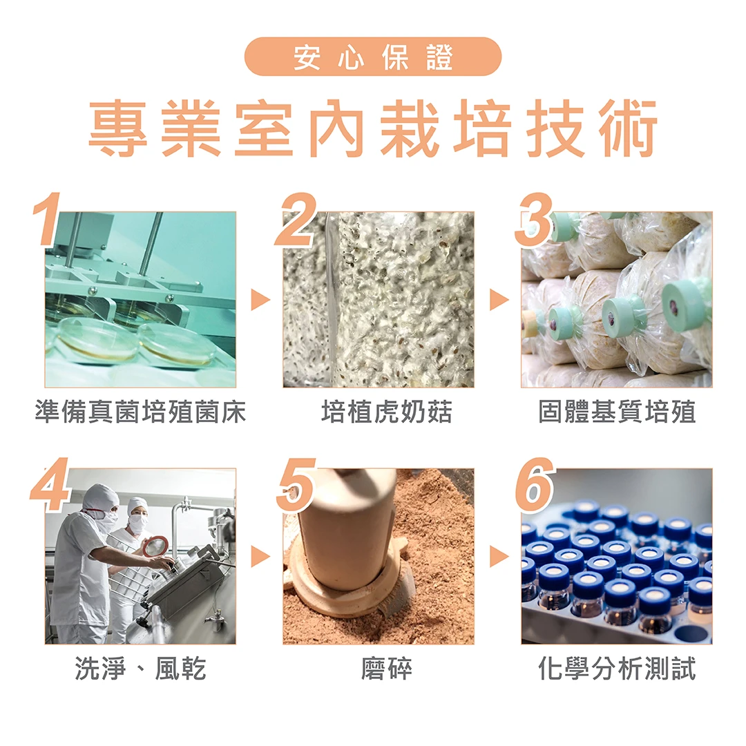 TIGROX 虎奶菇養氣飲 12入 商品說明 12