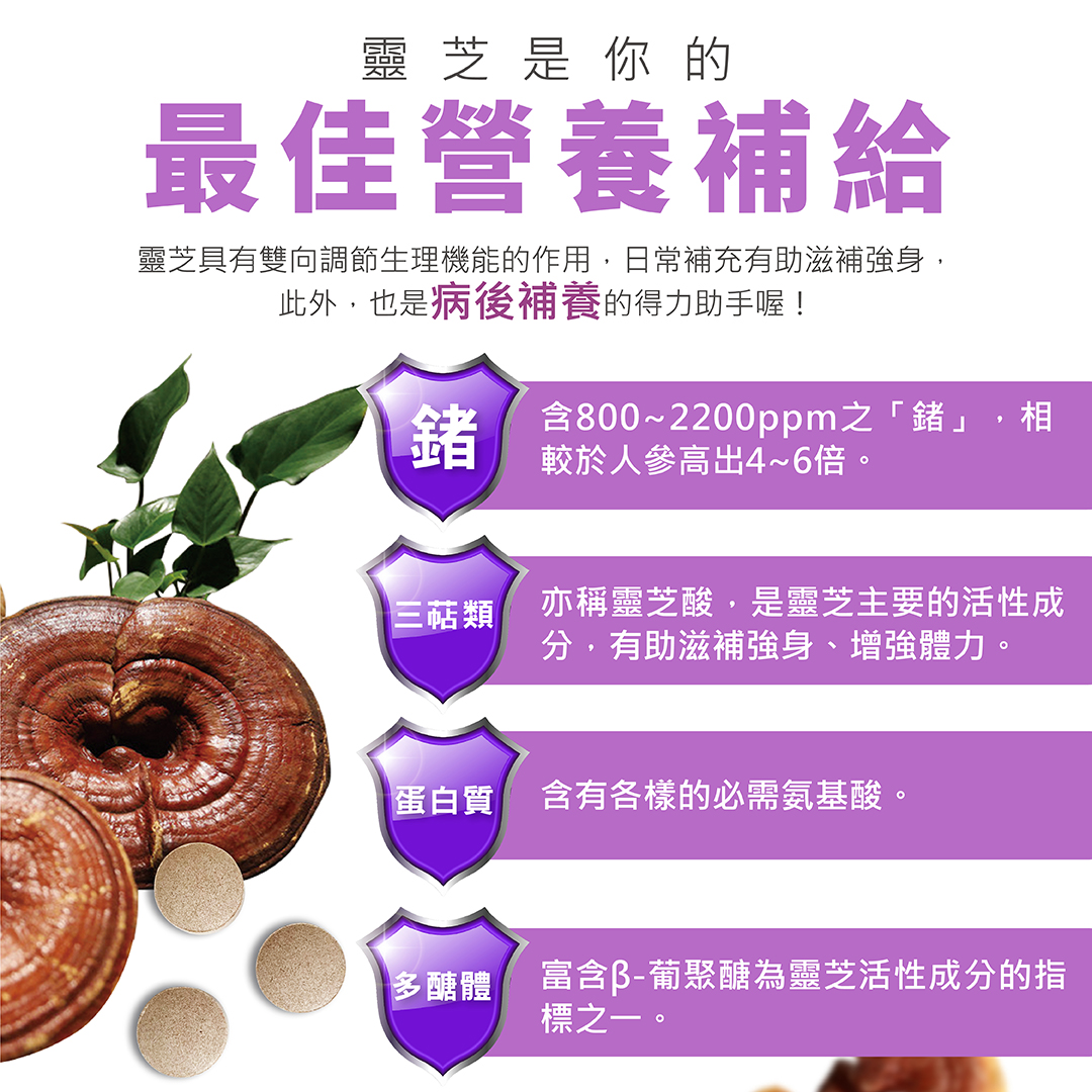 BIO-LINGZHI 百優靈芝錠劑 商品說明 4｜靈芝菌絲體營養成分